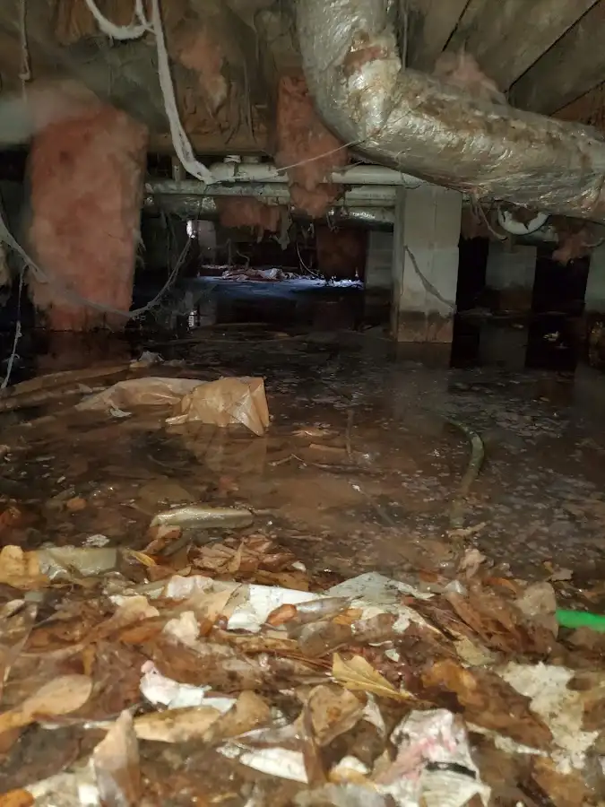 Crawl space flood assessment for Leak Detection & Repair in Whitefish Bay