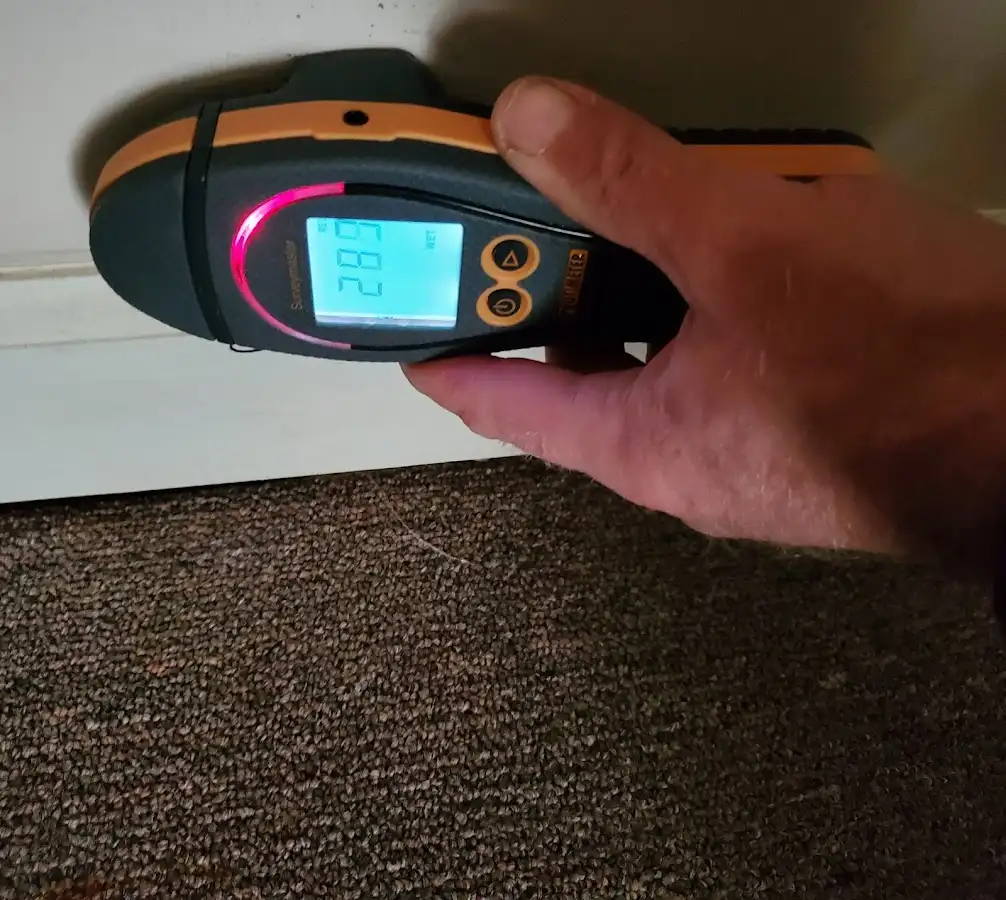 Moisture detection at baseboard during Mold Inspection & Testing in Whitefish Bay